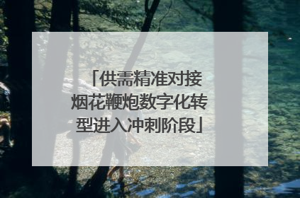 供需精准对接 烟花鞭炮数字化转型进入冲刺阶段